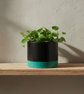 Large Round 15 cm Black and Persian Green Plant Pot Indoor Houseplant Planter