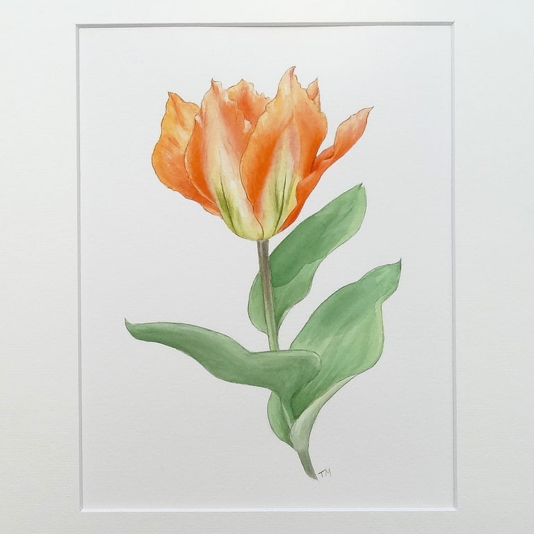 Tulip Floral Art Watercolour Painting 'Orange Emperor' Original Art