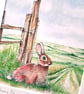 Watercolour print of a Southdowns Sussex Rabbit - Image 2