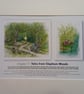 Original hand painted watercolour print of Clapham Woods with a short story. - Image 1