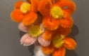 Daisy magnets