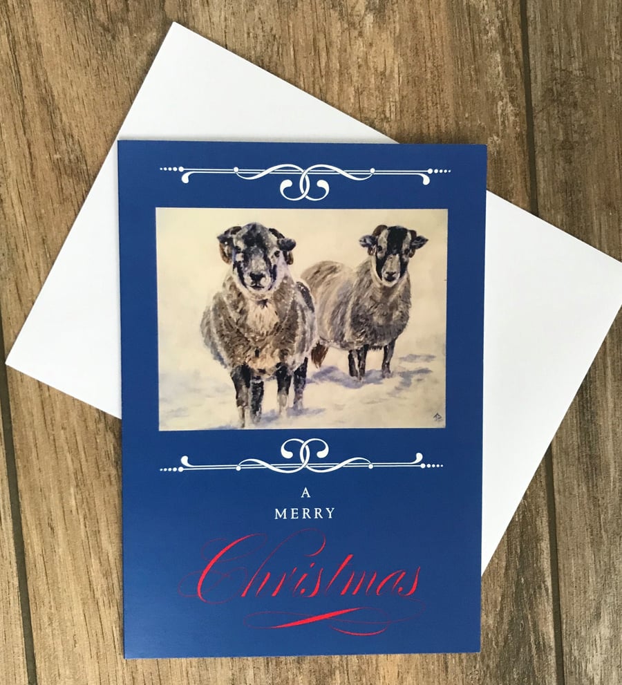Large sheep in snow Christmas card by British artist