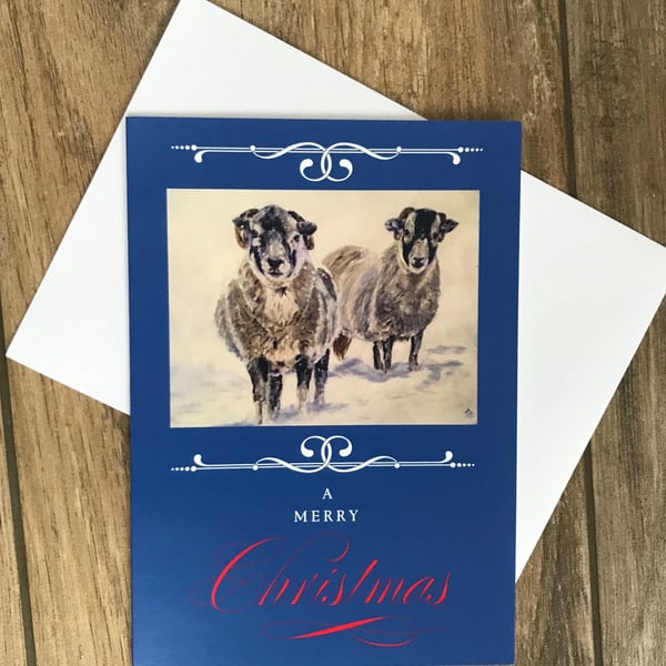 Large sheep in snow Christmas card by British artist