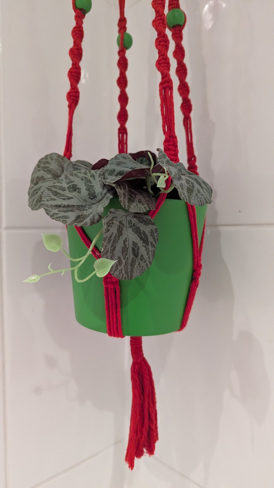 Plant pot hanger - red and green