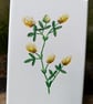 Golden Trefoil Flower Acrylic Painting  - Image 3