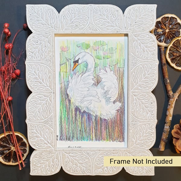 Little Swan Drawing, small letterbox art gift, wall art