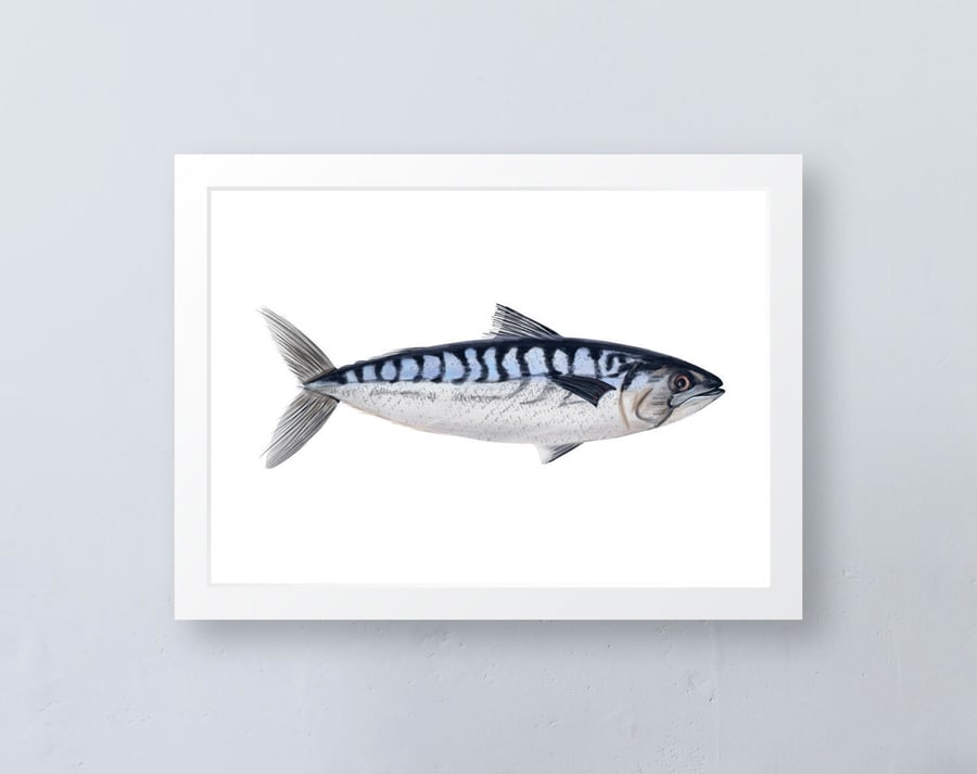 Cornish Mackerel Art Print, A5 Print, Giclee Print