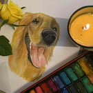 Bespoke A4 watercolour pet portraits