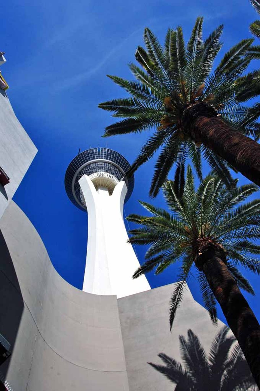 Stratosphere Tower Las Vegas Nevada America Photograph Print