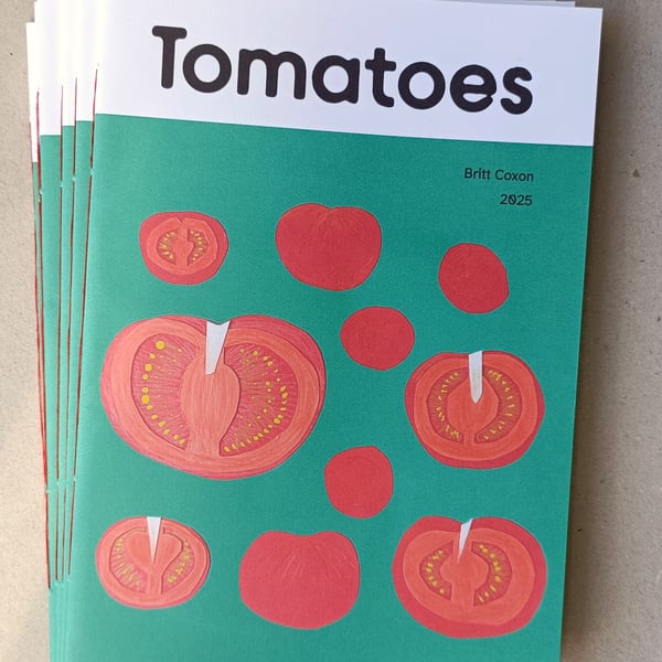 Tomatoes Art Zine