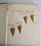 Raw Brass Triangles earrings - golden brass arrows with bronze - geometric - Image 1