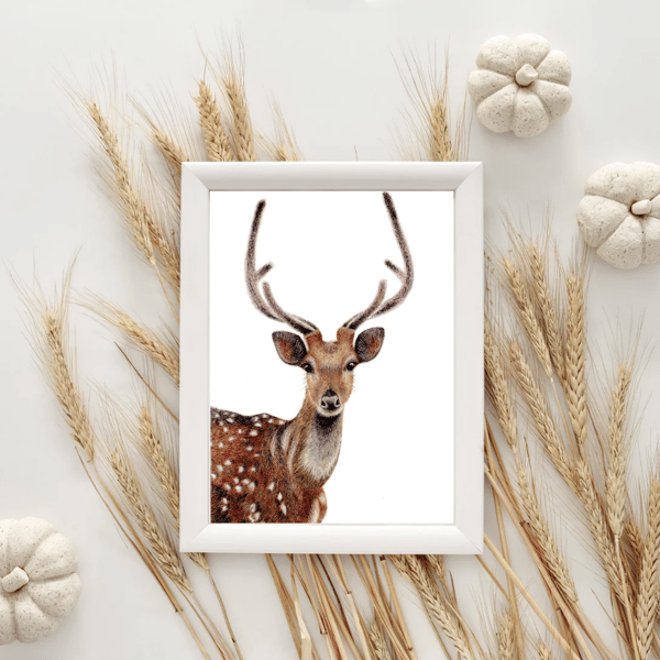 Stag Drawing Giclee Fine Art Print A4