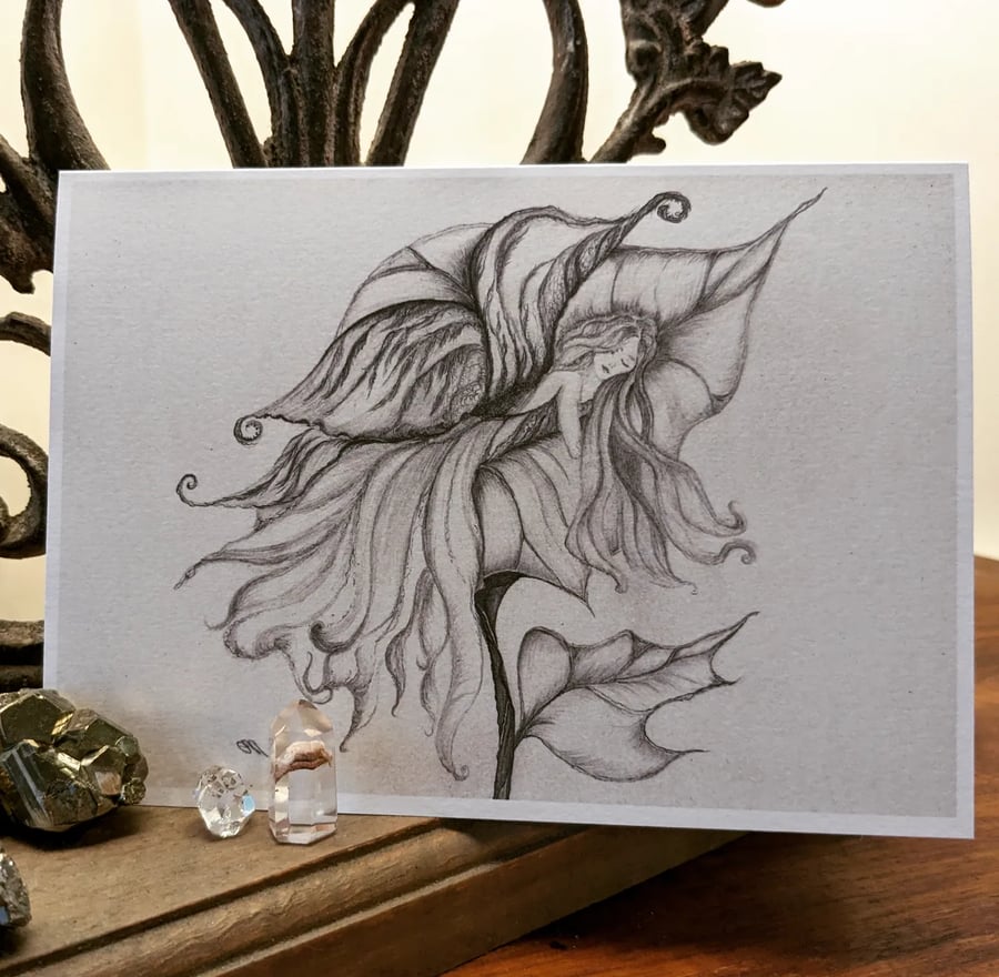 Pencil Drawing of Fairy in a Flower Card