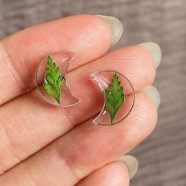 Handmade preserved fern moon resin earrings, natural flower jewellery