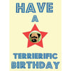 Have a Terrierific Birthday Card - Border Terrier