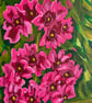 Purple pink primula flower painting 