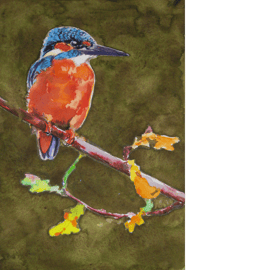 Kingfisher. Original watercolour.