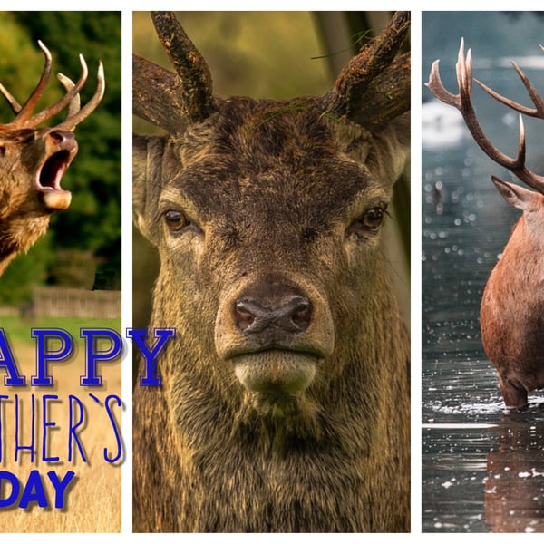 Happy Father's Day Stags Card A5