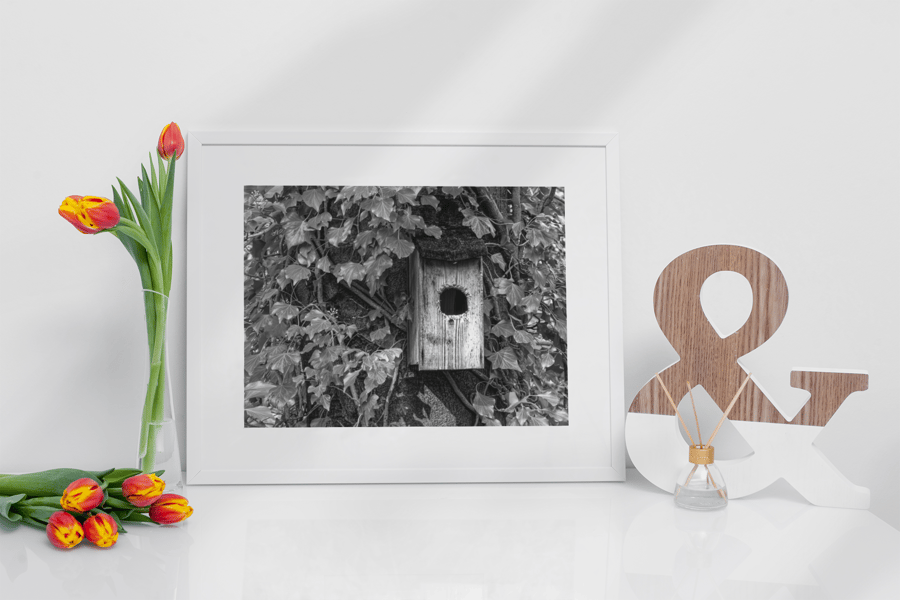 Bird Box - Print in A4 or A3 Mount