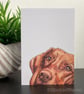 Hungarian Vizsla Dog Card; Birthday, Blank or Personalised. - Image 8