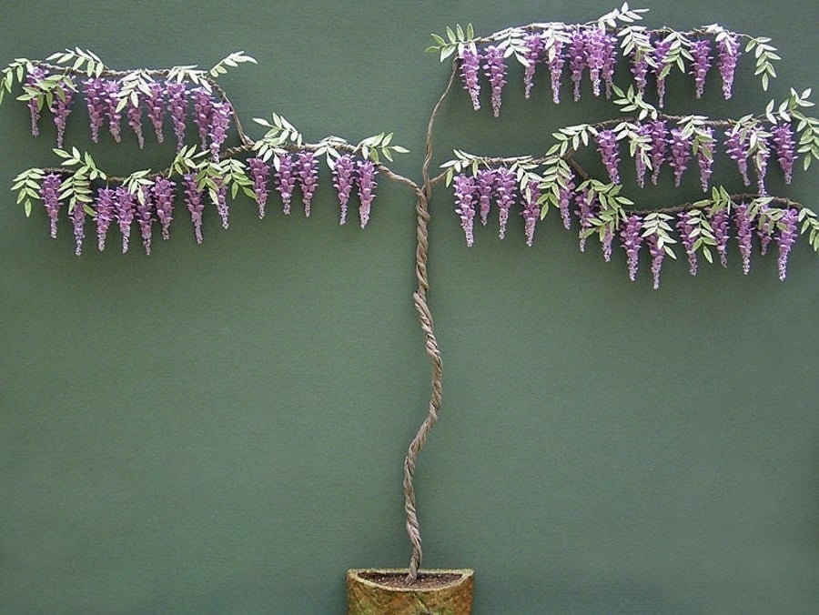 DIY Kit for 12th scale Wisteria Miniature plant for Dollhouses