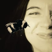 swarmsandbee
