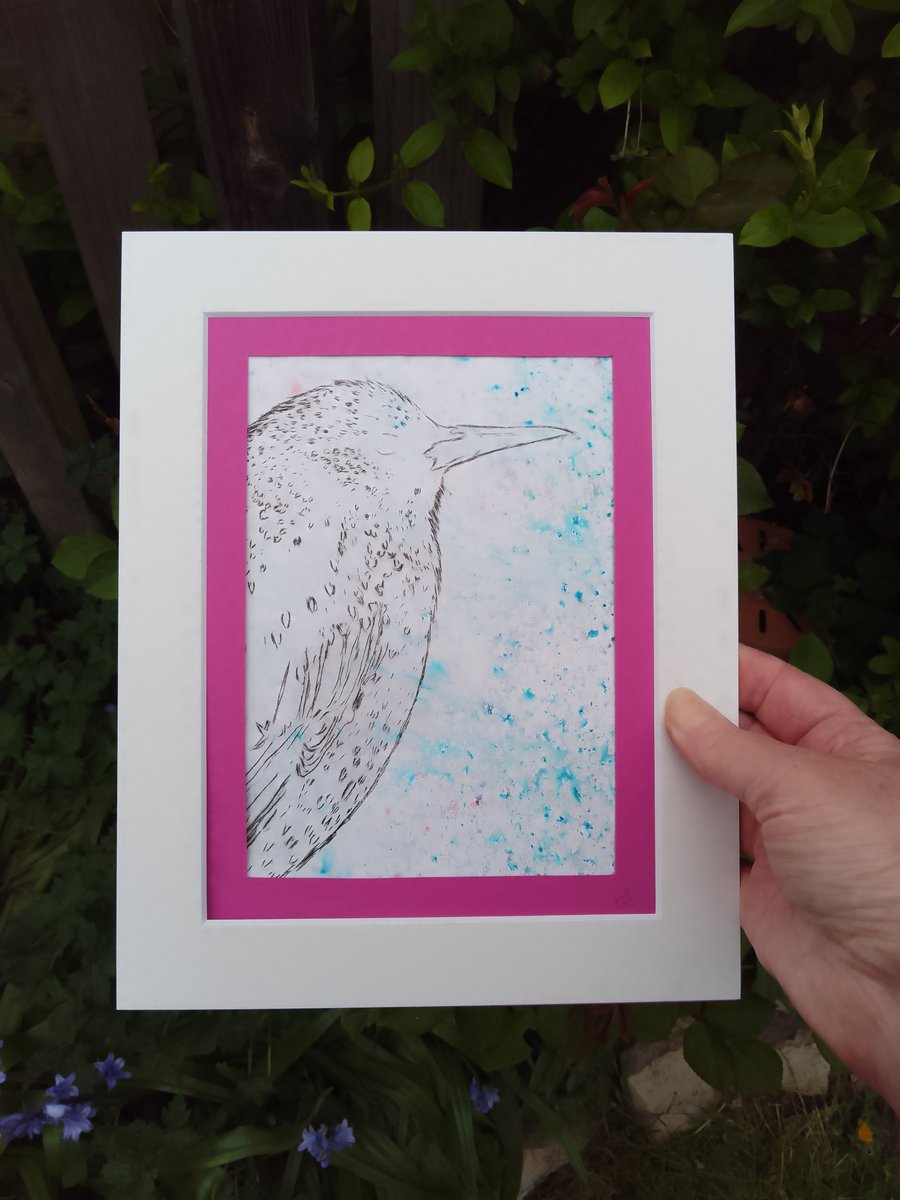 Starling abstract drypoint engraving 