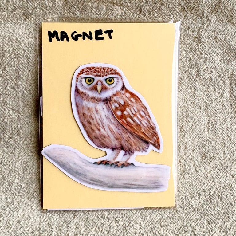 Little Owl Fridge Magnet