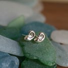 Silver Spiral Shell Earrings - Shell Studs - Nautical Jewellery