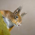 “Seeking the Winter Hoard” blank card 