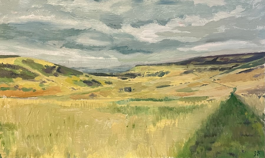 View from Cold Fell, Pennines, Cumbria Oil Painting On Board