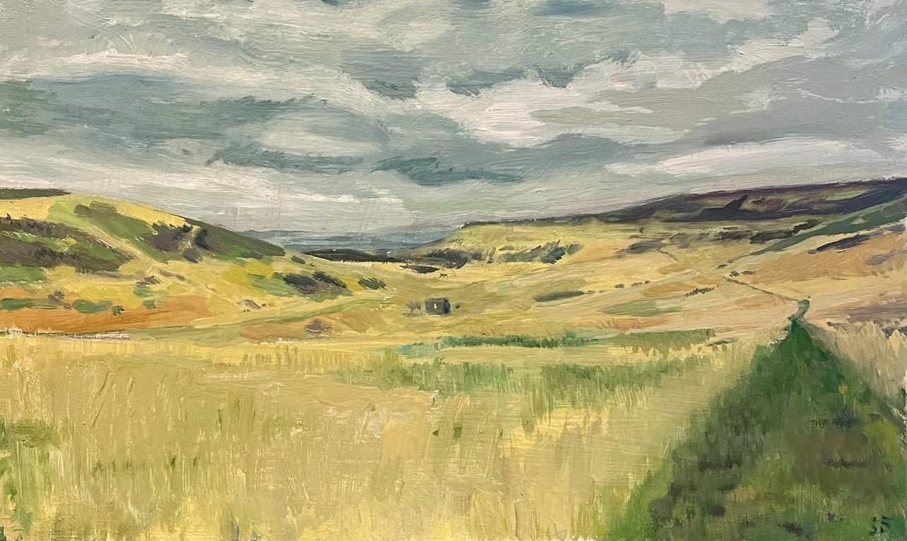 View from Cold Fell, Pennines, Cumbria Oil Painting On Board