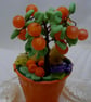 Orange Fruit Tree with sleeping Dog. - Image 9