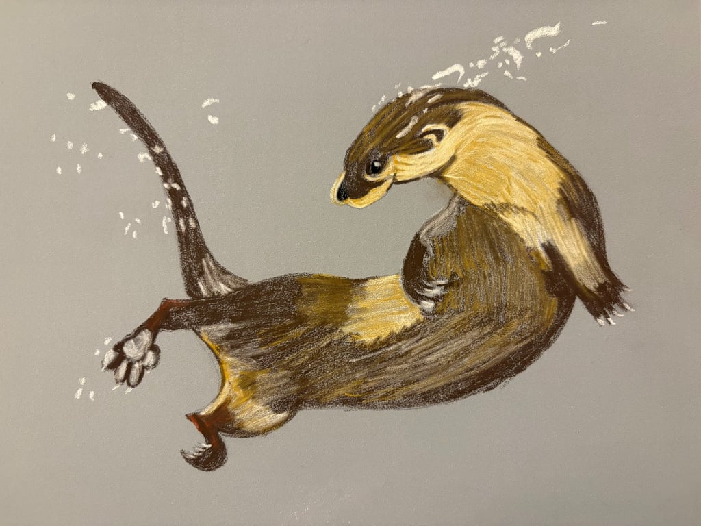 Otter Fine Art Print 