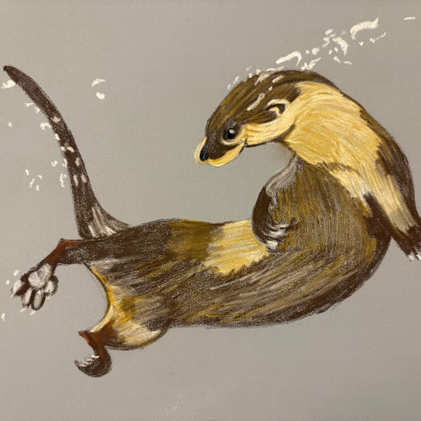 Otter Fine Art Print 