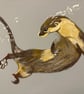 Otter Fine Art Print 