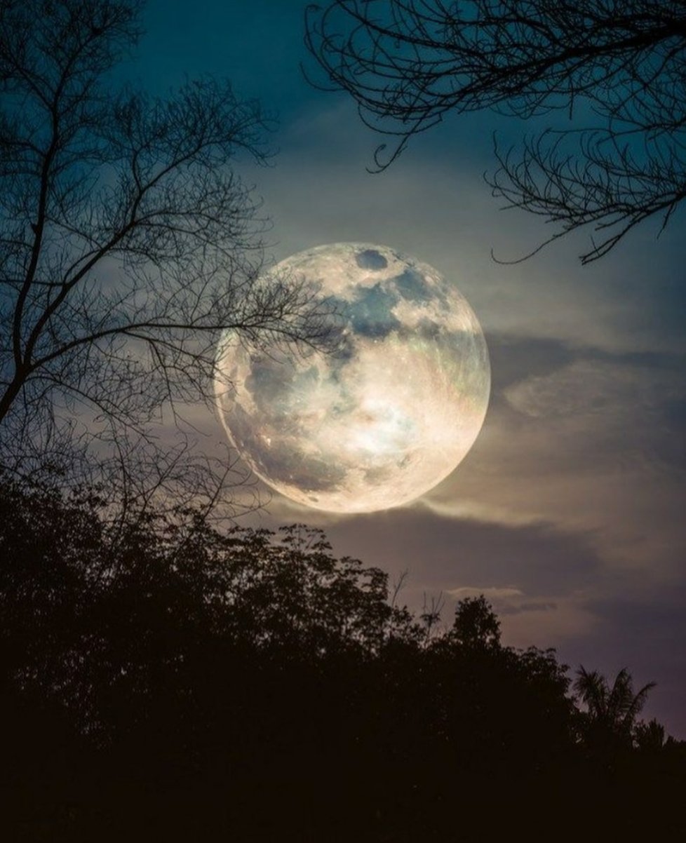 Treasures Of Middle Earth