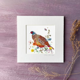 'Wildflower Pheasant' 5" x 5" Mounted Print