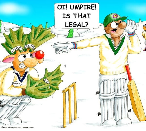 Cricket Christmas card. Stumped. Funny wicketkeeper cartoon card. FREE UK P& 