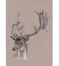 Deer Stag Original Coloured Pencil Drawing - Image 3
