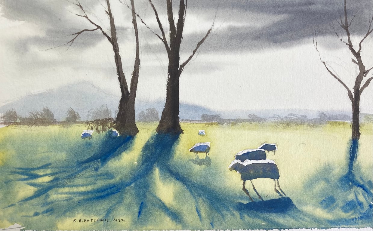 Fowlers farm sheep study (Pure Original Watercolour)