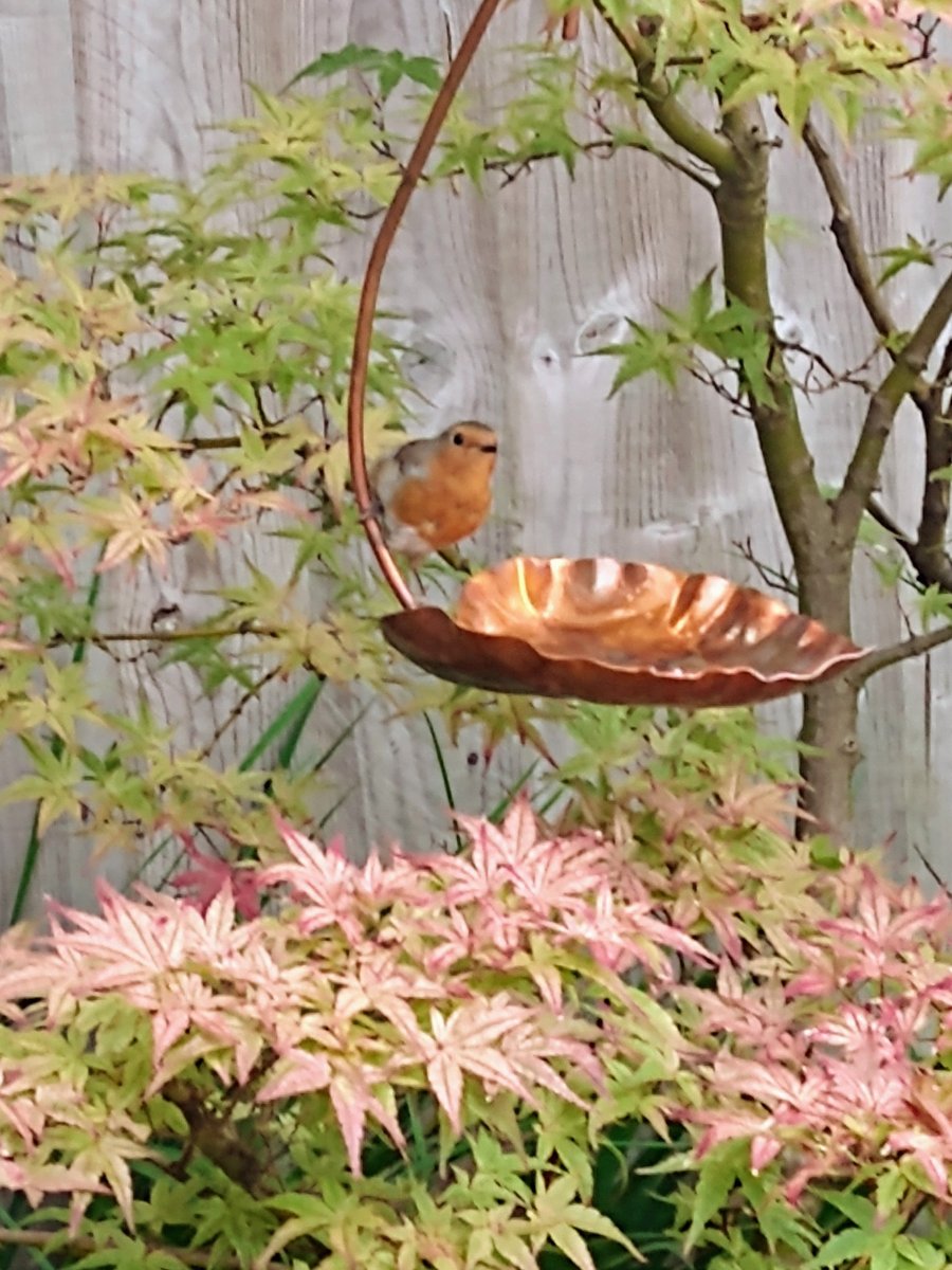Copper hanging garden metal bird feeder 