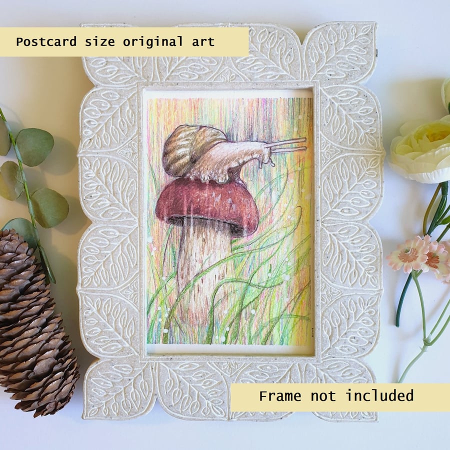 A snail on a mushroom, small original drawing, letterbox art gift