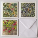 Autumn fruits blank greeting card pack of 3