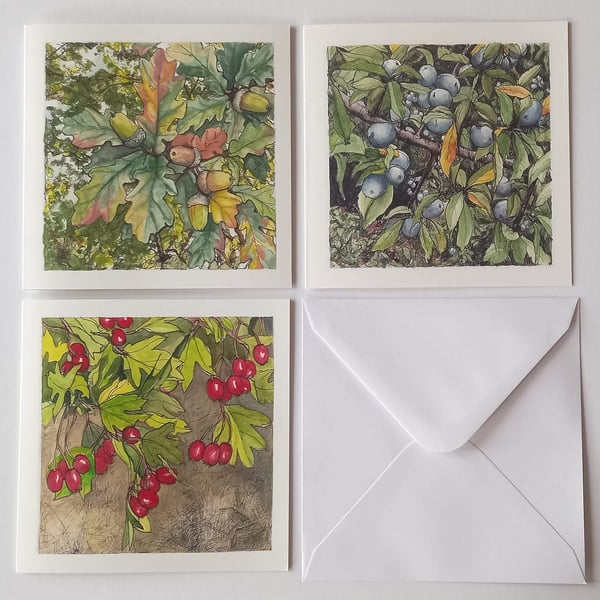 Autumn fruits blank greeting card pack of 3