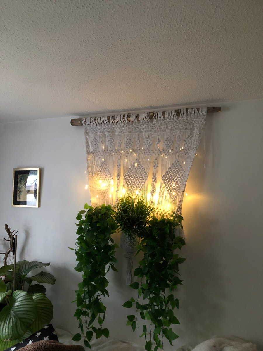 Macrame and pine tree plant holder wall hanging