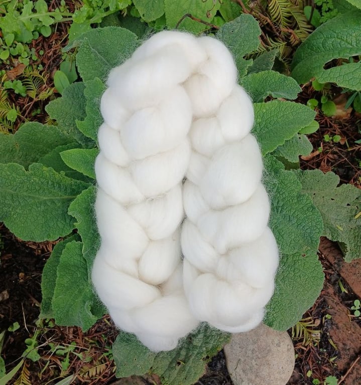 50g sliver of Corriedale Fleece