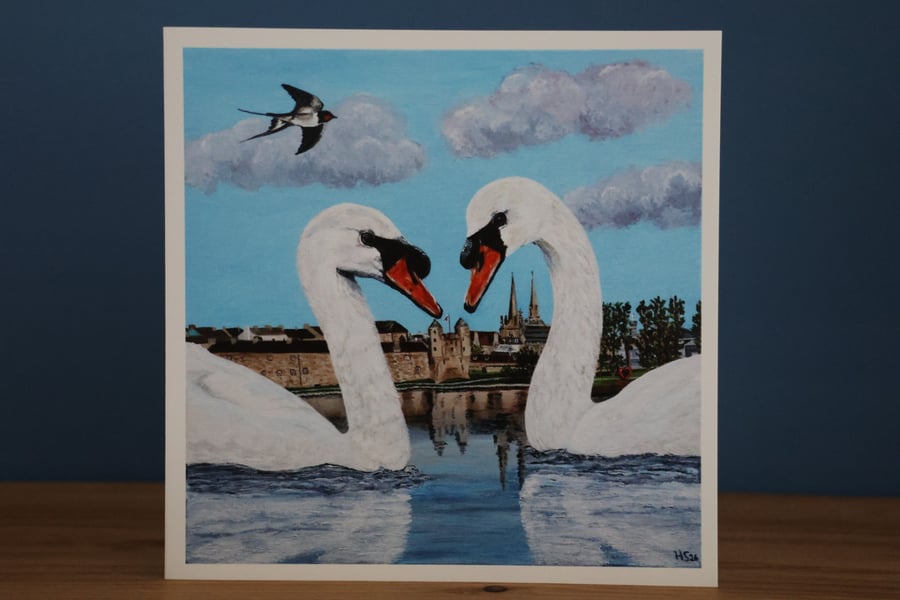 Swan Love Enniskillen Blank Greetings Card