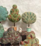 Cotton reel tree - bold green with variegated leaves - Image 7