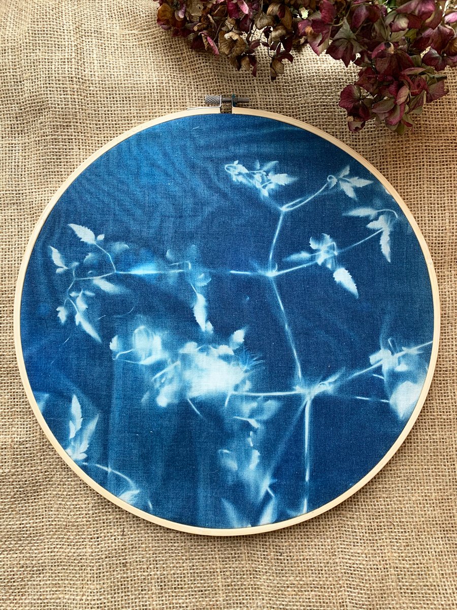 Clematis Plant Cyanotype Embroidery Hoop